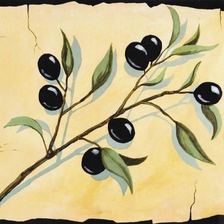 Olive Branch 16x20