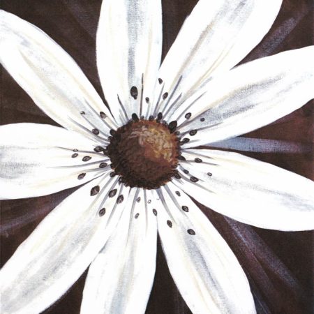 White Daisy 16x20