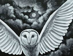 Night Owl 16x20