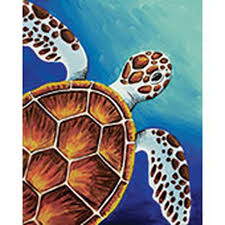 Sea Turtle 16x20